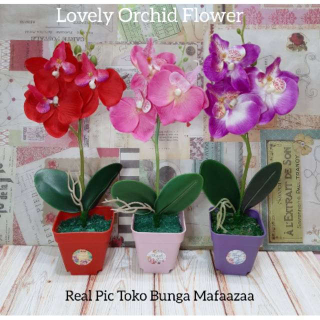 Bunga Anggrek Pot Plastik Orchid Flower Anggrek Bulan Artificial Orchid Decoration Shopee Indonesia