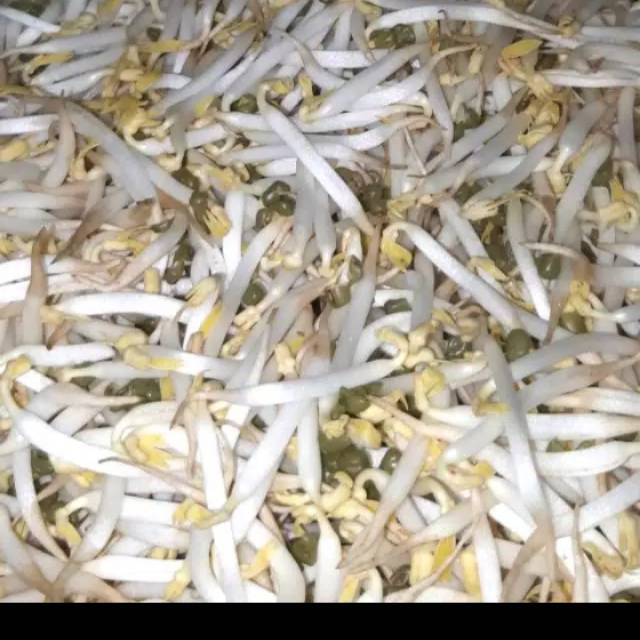 

tauge per kg 250