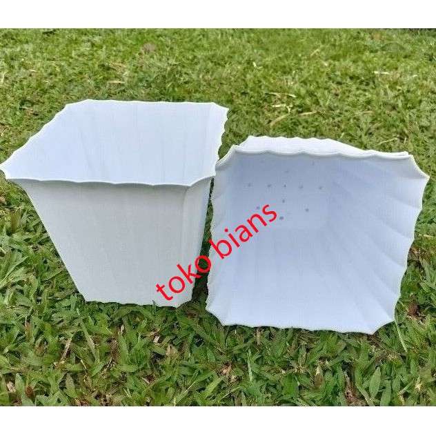 pot tanaman monstera plastik