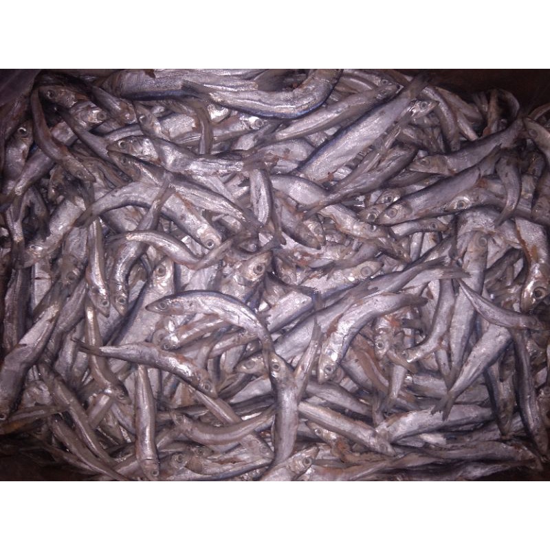 

Ikan Asin / Gereh Japoh Kecil 500gr