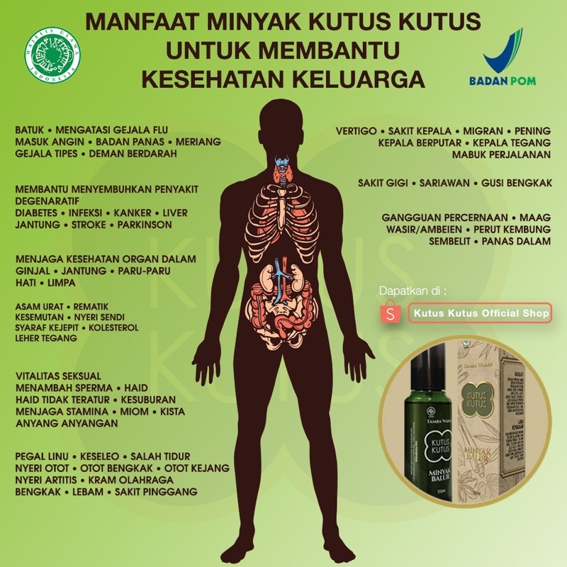 Minyak kutus kutus herbal organic 100ml - minyak balur organik