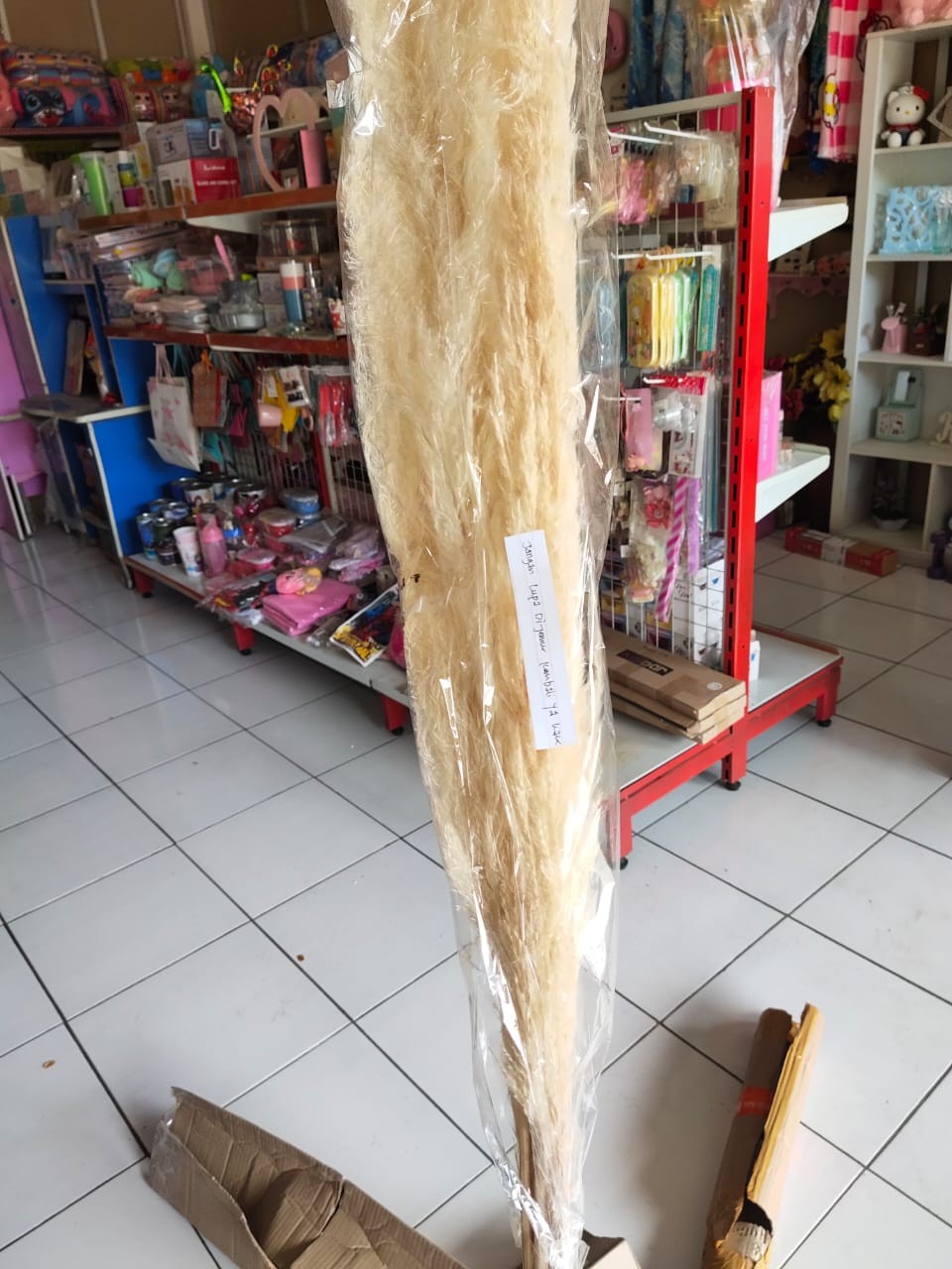 Dried Flower Pampas Import Super Pluffy (best Pampas Grass)