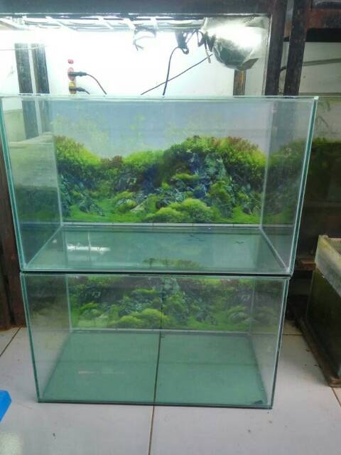 Aquarium Kaca Ukuran 50x20x30cm Ketebalan Kaca 5mm Shopee