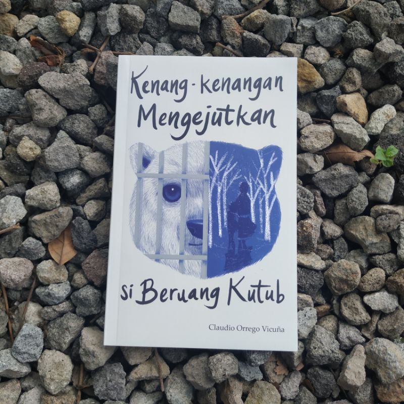 Kenang-kenangan Mengejutkan si Beruang Kutub