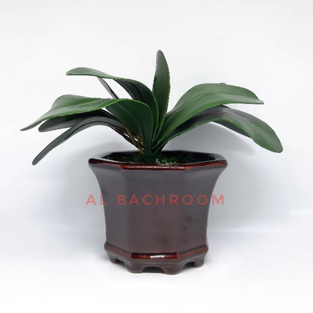 DAUN ANGGREK LATEX BESAR IMITASI BUATAN L9/ DA9 B8015 DAUN ARTIFICIAL