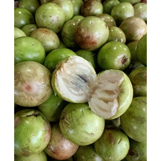 

BUAH GENITU / BUAH SUSU 1kg
