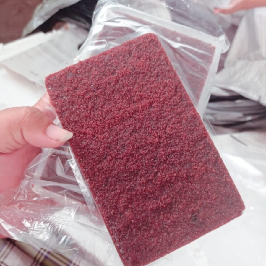 Cacing Beku Cabek Tray 1kg 1 Kg Bloodworm Kiloan Darah Blood Worm Ikan