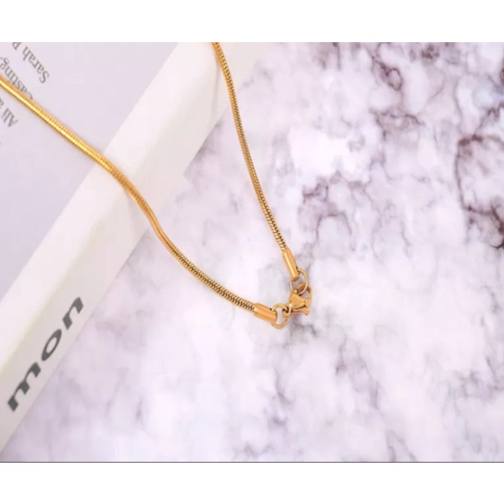 kalung titanium tulang belut anti karat untuk pria/wanita
