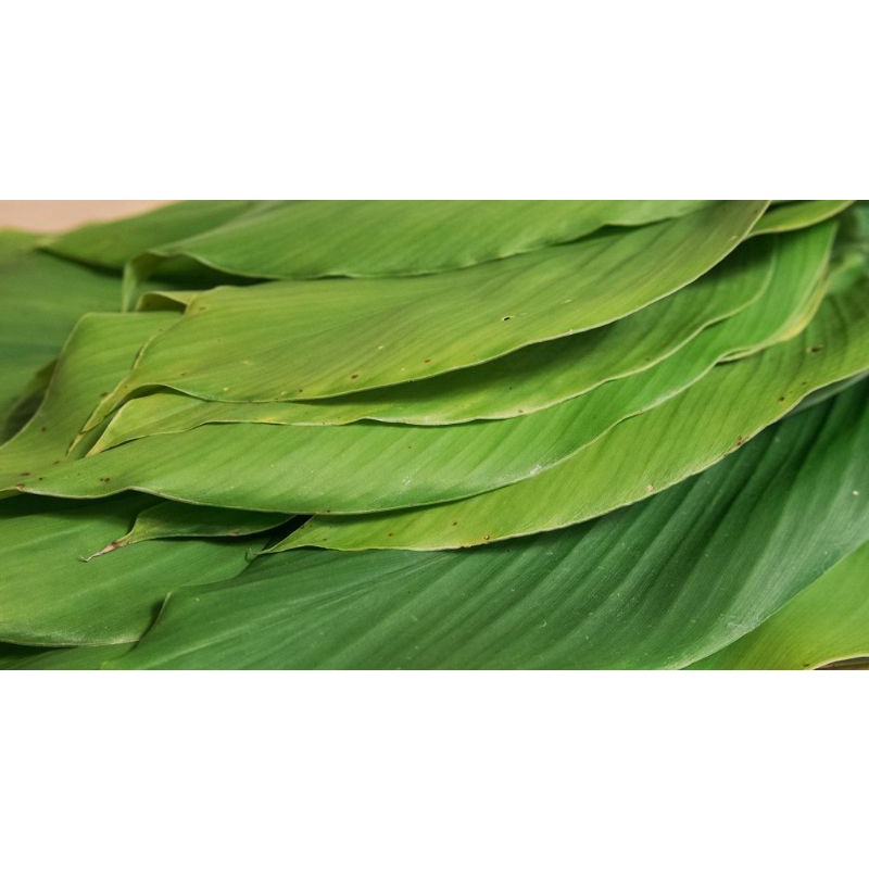 

Daun Pandan dan Kunyit