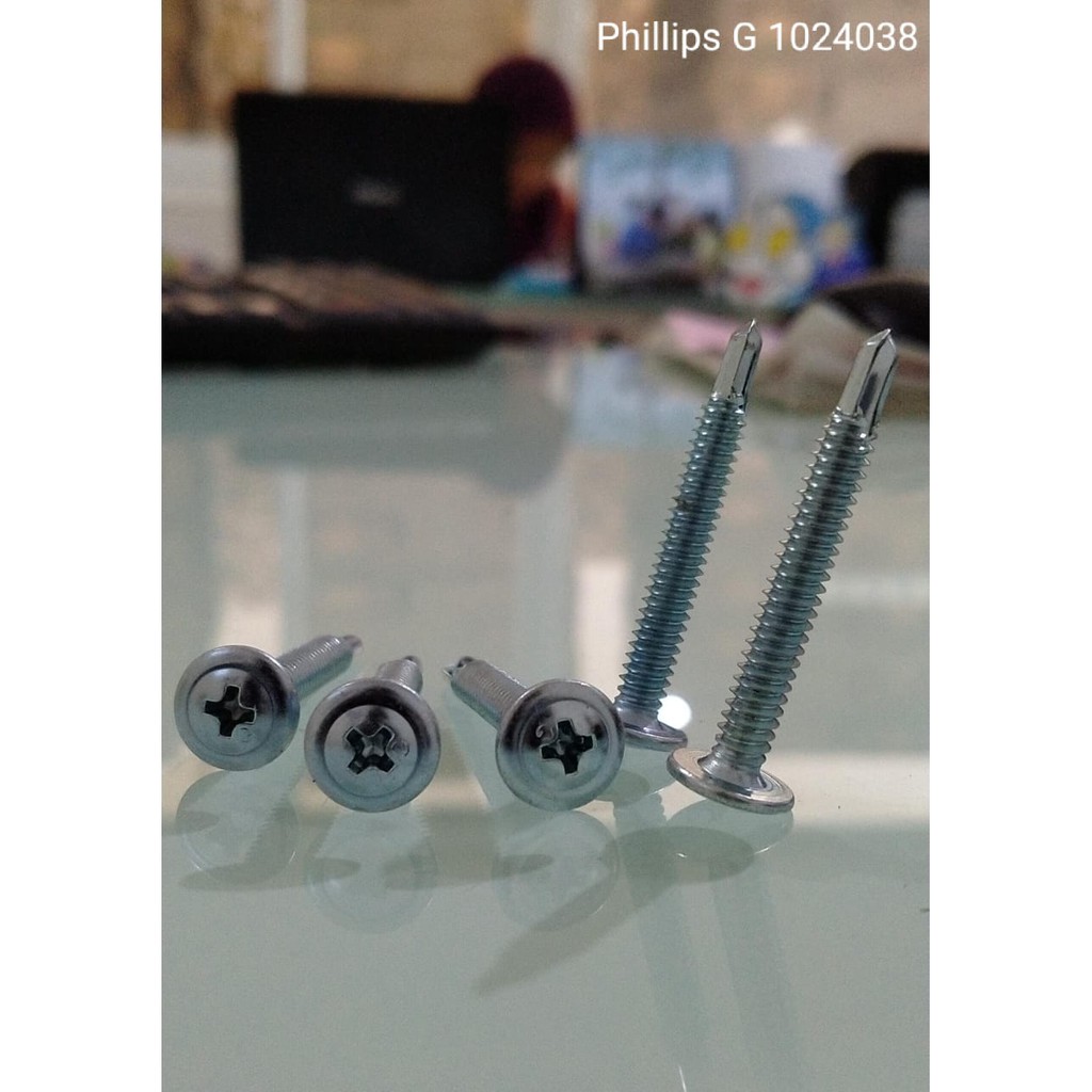 SKRUP ACP TRUSS MODIFIED PHILLIPS G 102438 P (450 PCS) - MERK GLOBAL