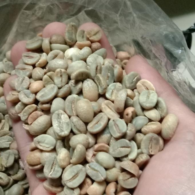 

Greenbean Arabica Arjuno Natural Anaerobic