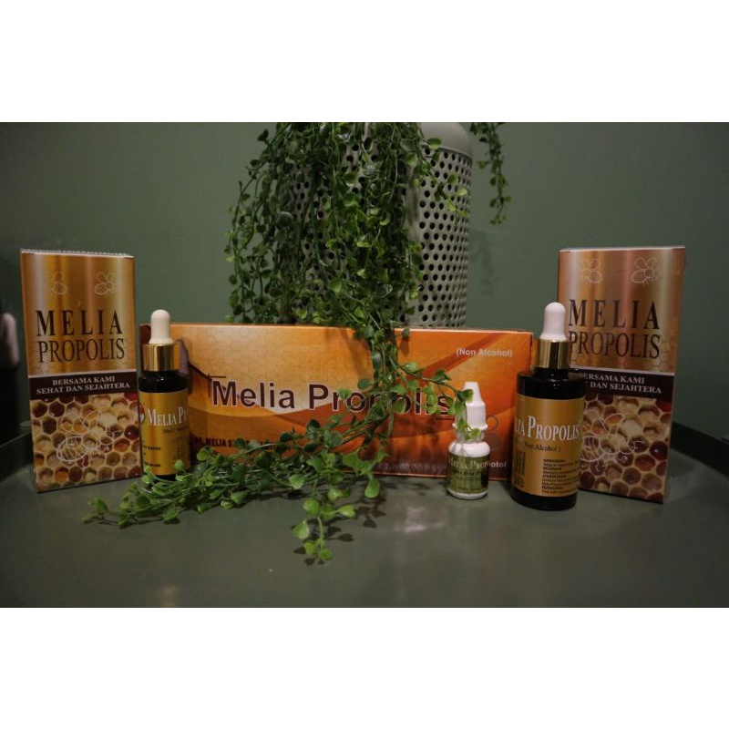 Melia Propolis Asli