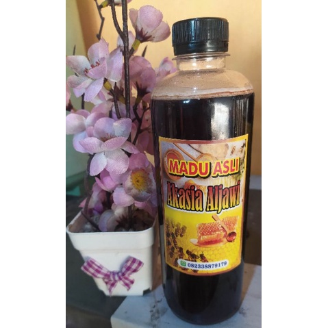 

madu hutan asli akasia 100%