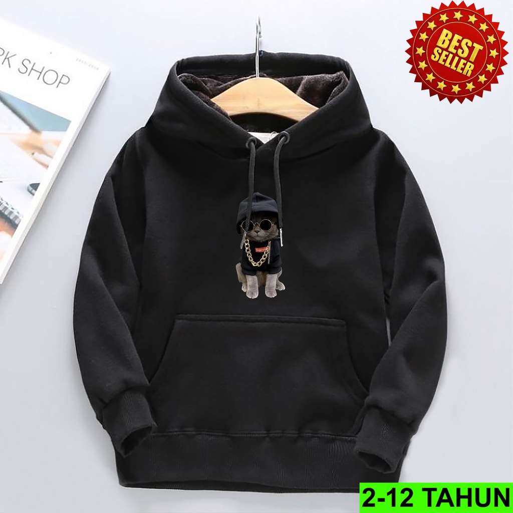 Hoodie anak laki-laki usia 2 3 4 5 6 7 8 9 10 tahun / Hooodie anak laki laki perempuan KUCING Sweater anak terbaru / switer distro