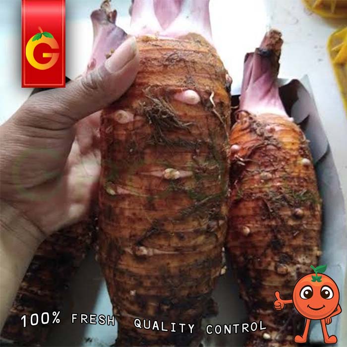 

TALAS PONTIANAK 1 KG
