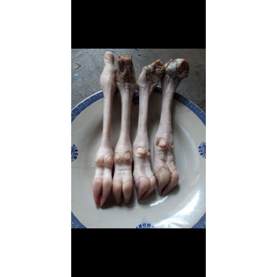 

yazmi beef