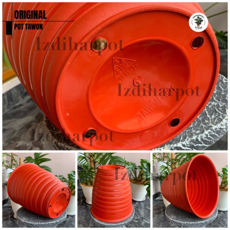 Pot bunga tanaman tawon MERAH BATA tinggi (PIRUS) 24cm - ORIGINAL