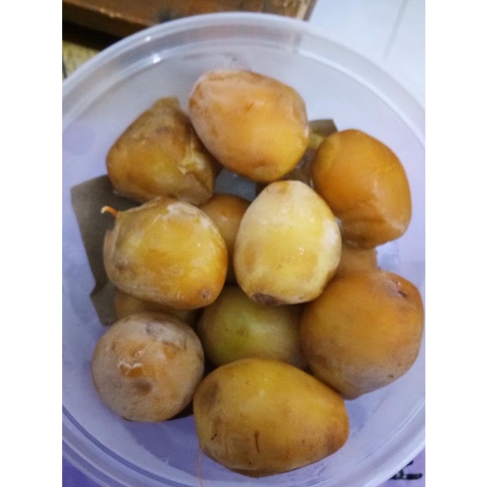 

TERLARIS 1/2 Box Kurma Muda Ruthob Matang Frozen/KURMA 1KG/KURMA BARARI/KURMA RUTHOB/KURMA BAM/KURMA PALM FRUIT/KURMA TANGKAI/KURMA AZWA/KURMA SUKKARI/KURMA SAFAWI/KURMA TUNISIA/KURMA MUDA KUNING/KURMA MUDA HIJAU/KURMA MEDJOL/KURMA MADINAH SUPER