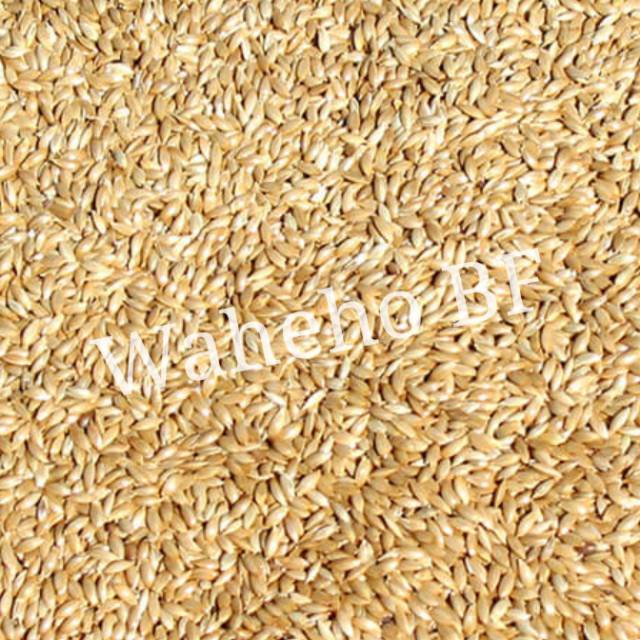 

Canary Seed Kiloan (1KG)