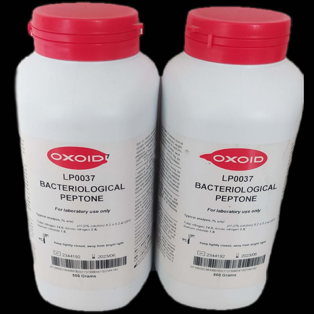 

Bacteorological Peptone 500gr