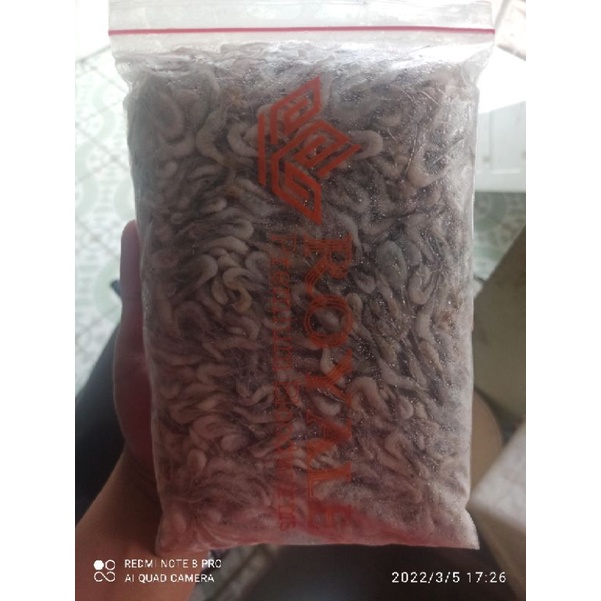 

Udang Rawa Beku