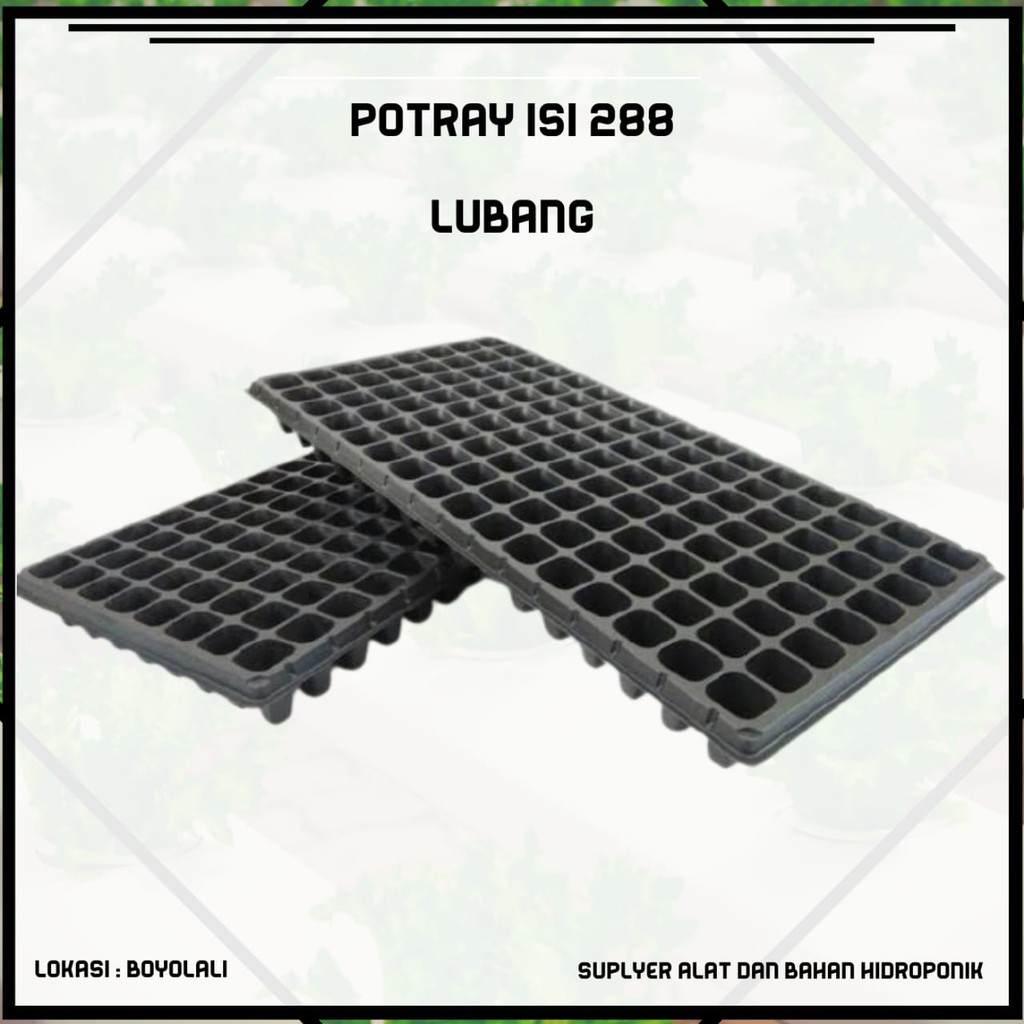 POTRAY SEMAI 288 LUBANG / SEMAI HIDROPONIK / ALAT SEMAI
