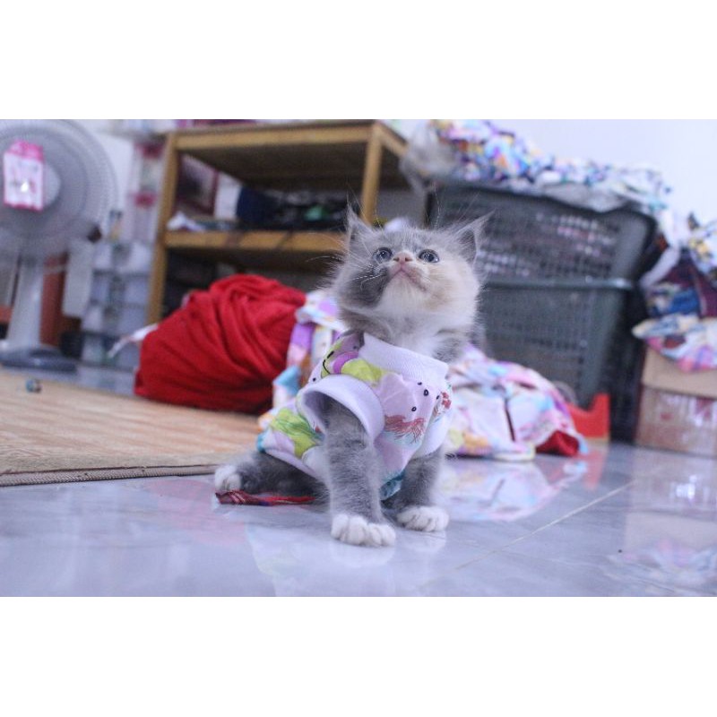 Baju simple motif abstrak pink lucu untuk kucing dan anjing / baju kucing murah 2020 size S M L XL