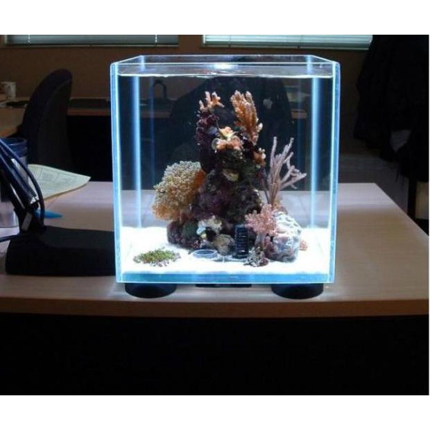 ( BISA COD ) Aquarium Kotak / Tempat Ikan Hias Berukuran Kecil (Hanya aquariumnya saja) Uk 20x20x20