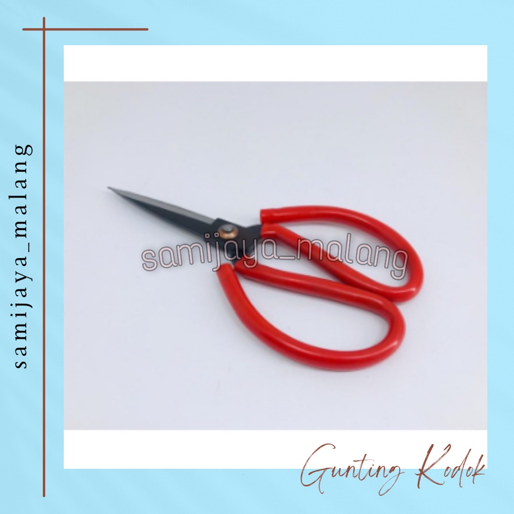 

Gunting Kodok Butterfly Besar,panjang 210mm
