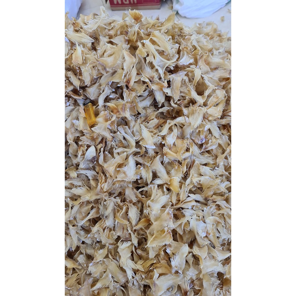 

100GRAM Sirip Ikan Hiu Asli PROBOLINGGO / Hisit / Huchi / He chi / He Sit / Sirip Hiu Original