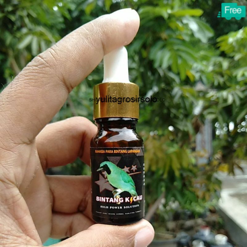 SOLUSI CUCAK IJO MACET BUNYI, VITAMIN DOPING CUCAK IJO LOMBA DOPING BURUNG LOMBA ALAMI OBAT SERAK