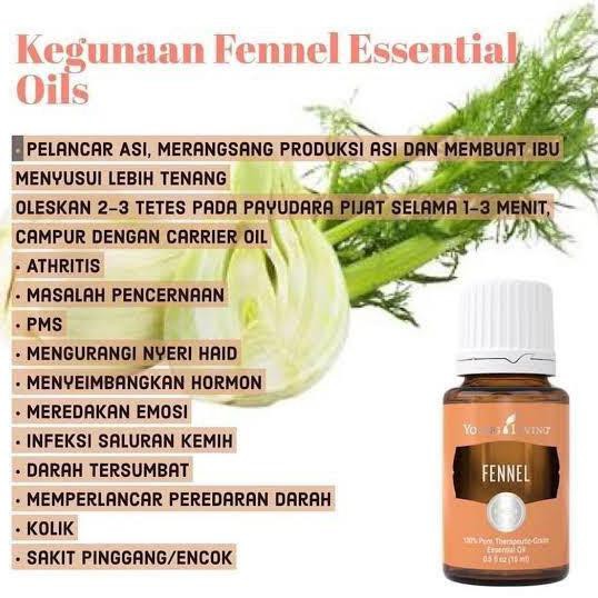Fennel Young Living 15Ml Dewisartikahh