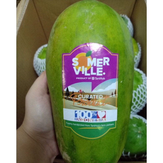 

Pepaya California Somer Ville 1 Pcs Super Manis Fresh