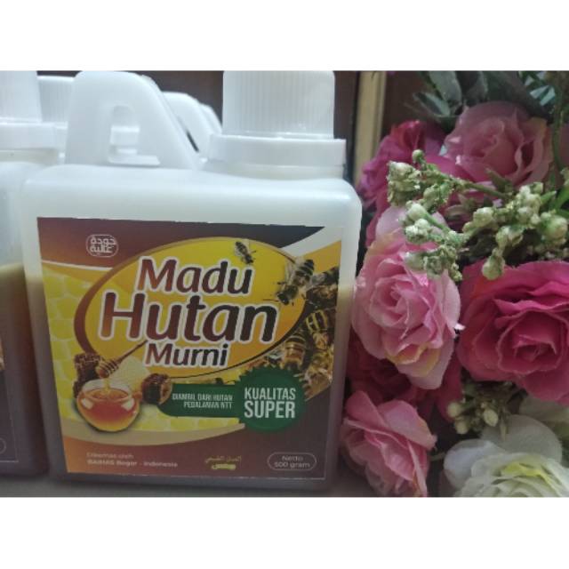 

Madu hutan asli NTT