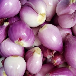 

Bawang Merah Kupas