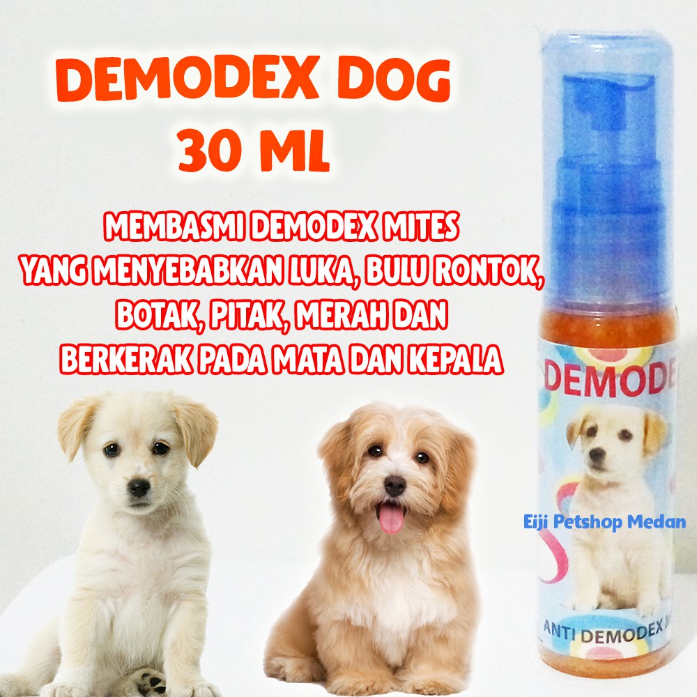 DEMODEX SPRAY DOG - DEMODEX DOG OBAT DEMODEX ANJING – OBAT ANJING