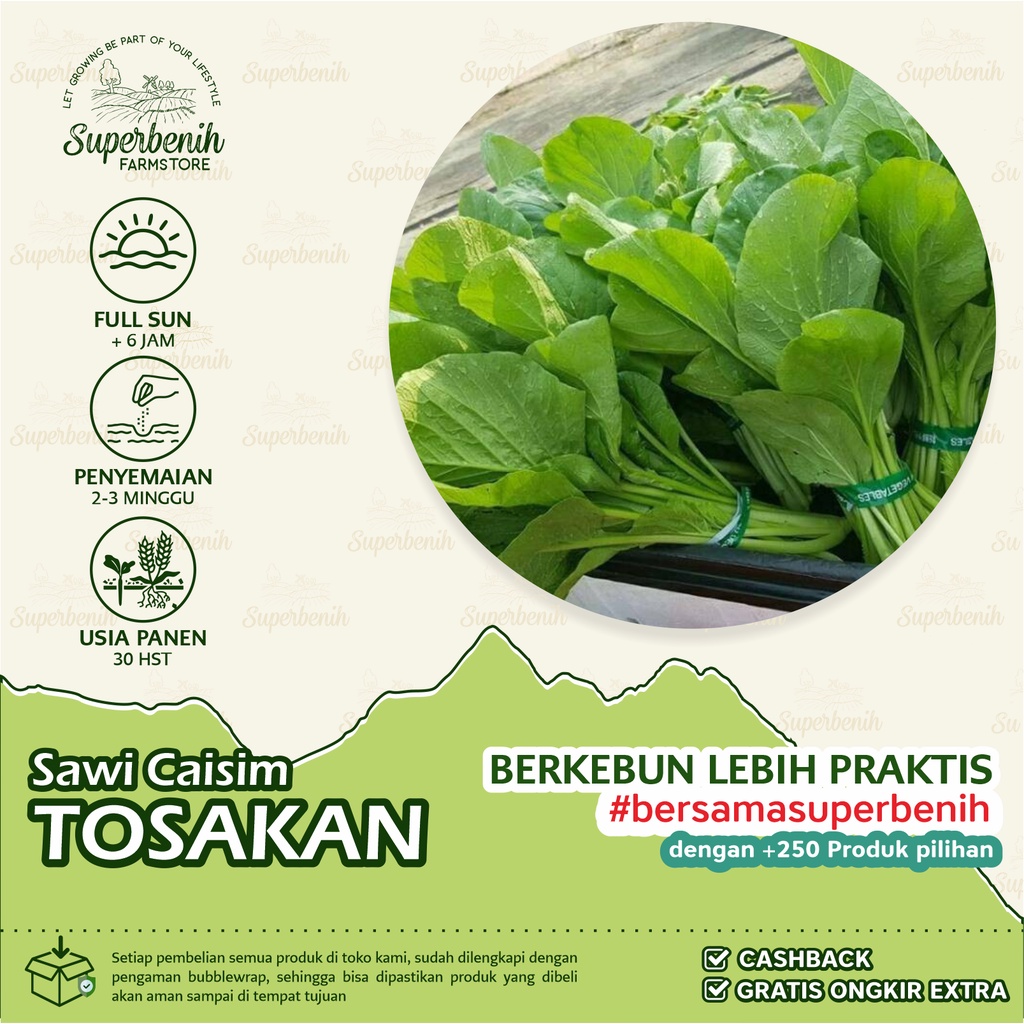 250 Biji - Benih Sawi Caisim TOSAKAN