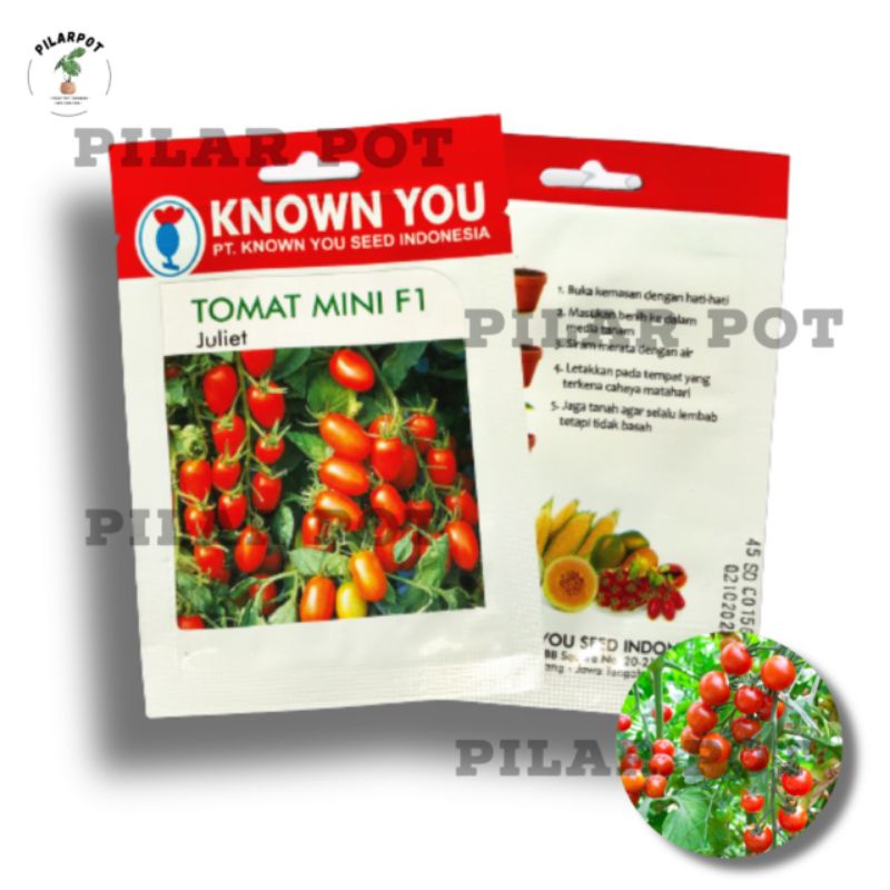 Benih bibit TOMAT MINI F1 JULIET known you seed - KYS TOMAT F1 JULIET