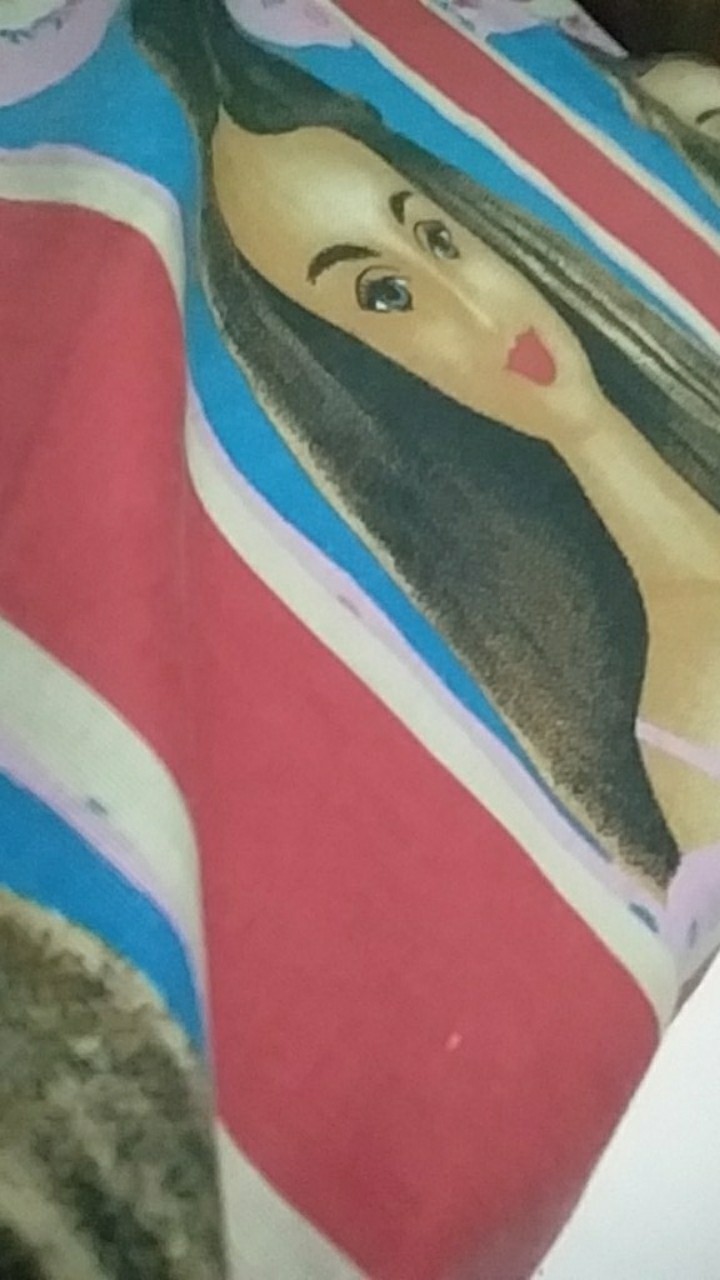 Timbanga Dapur Kitchen Scale Sea Lion