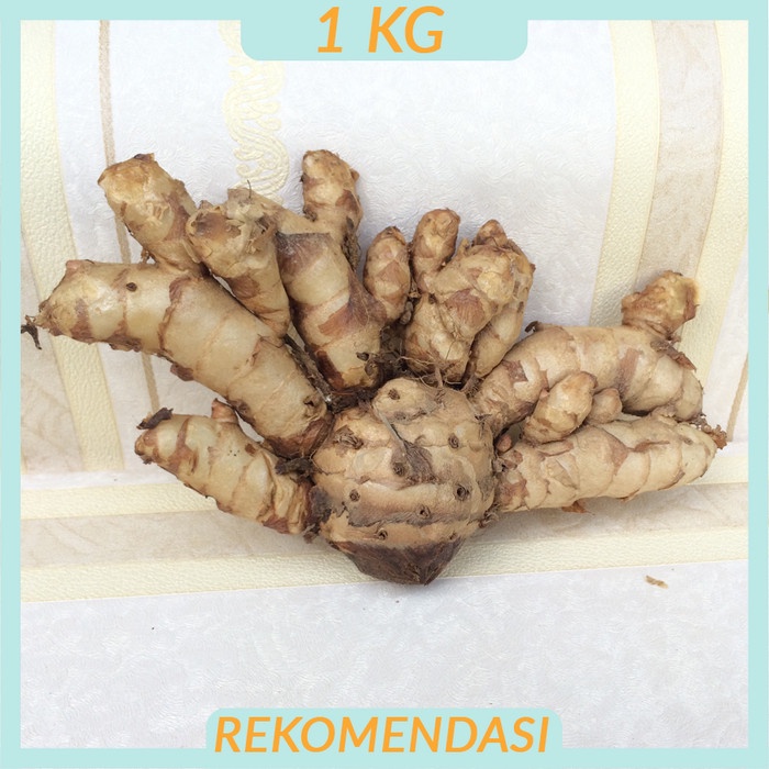 

New TEMU IRENG Atau TEMUIRENG 1 KG SEGAR dan BESAR