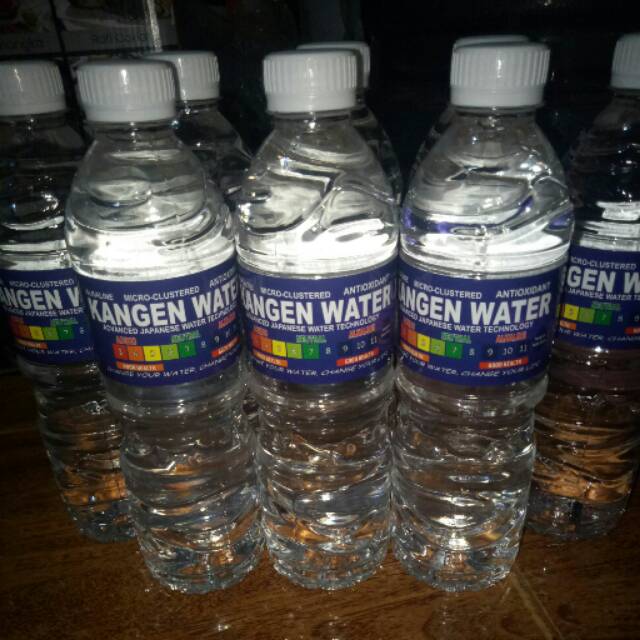 Air Alkali pH 9,0 Kangen Water Air Alkaline Dus 600ml 24 Botol