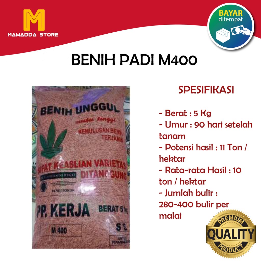 Benih Padi M400 Bibit Unggul 5kg