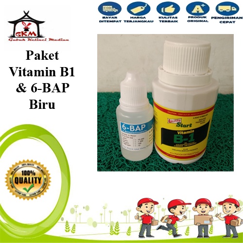 Paket 6-BAP Biru (6-Benzylaminopurin) &amp; Vitamin Liqunox B1