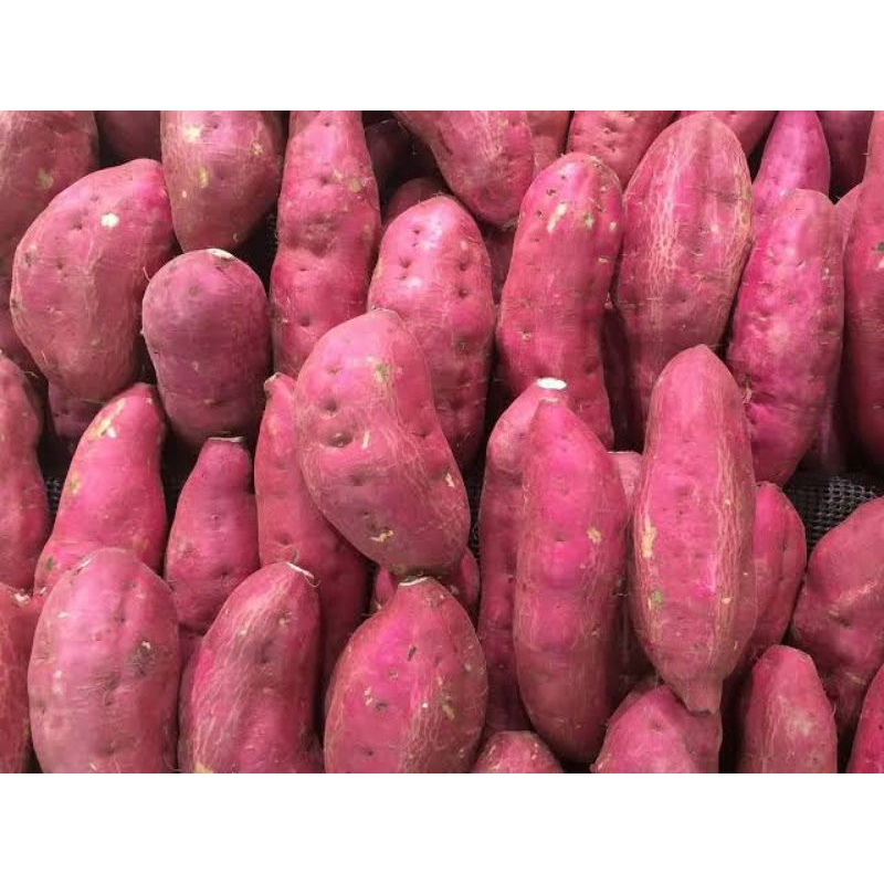 

UBI MERAH/UBI KUNING/UBI UNGU 1000gr