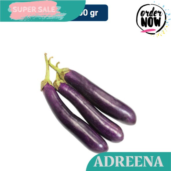 

The Learning Farm Terong Ungu 500 gr Adreena Freshbox