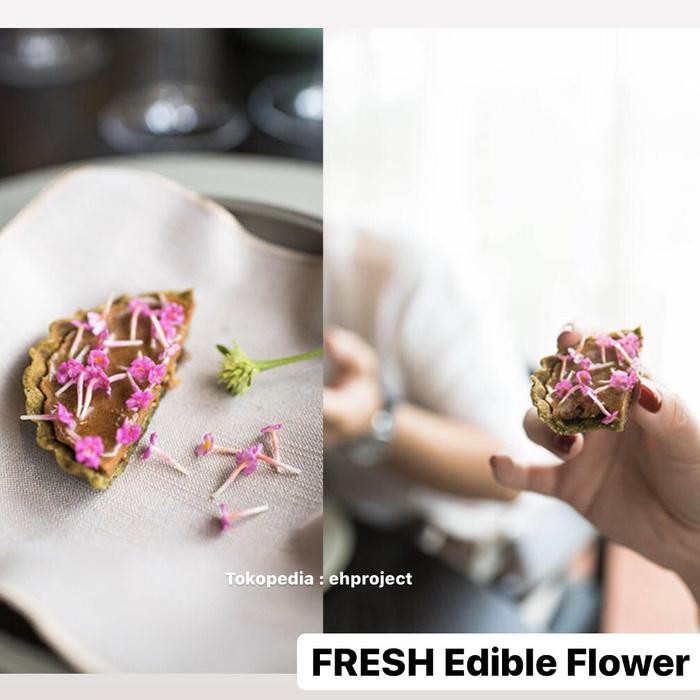 

EDIBLE FLOWER CONFETTI MIX Fresh Segar Organik Plating Garnish Salad BERKUALITAS