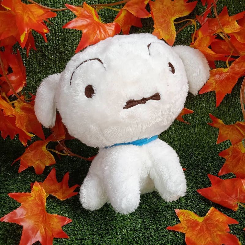

Shiro Crayon shincan