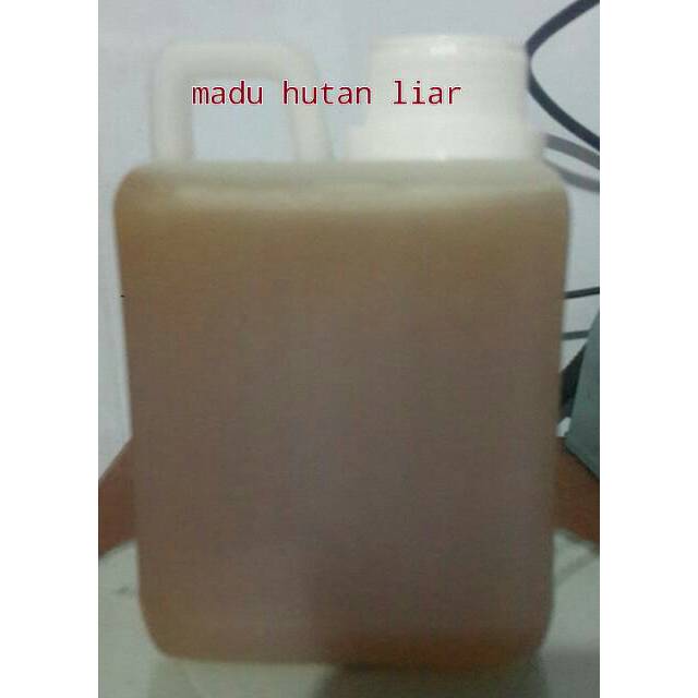 

Madu hutan liar / madu asli murni / raw honey