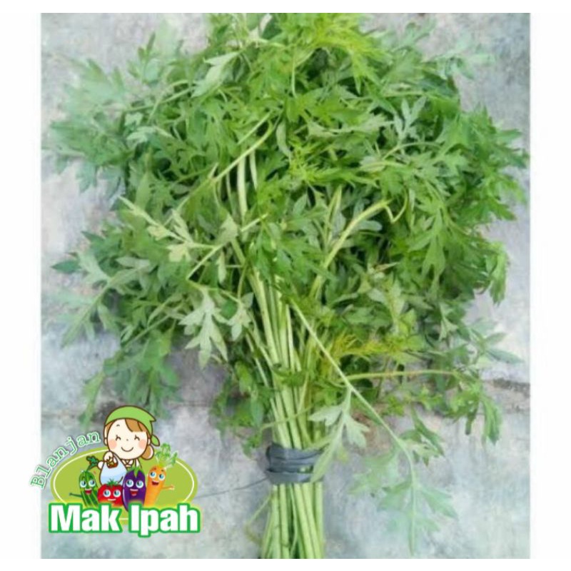 

Mak ipah SYR KENIKIR/350 gram