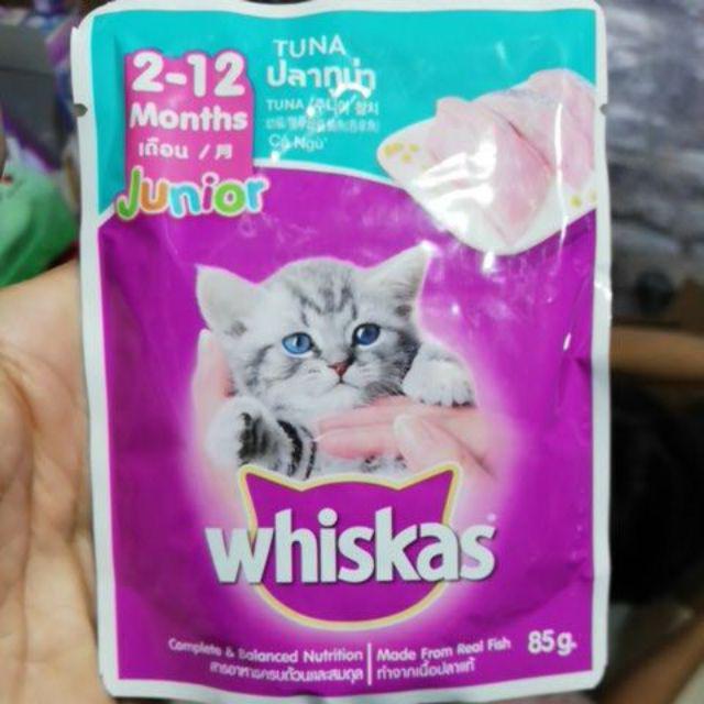 Makanan anak kucing umur 1 bulan